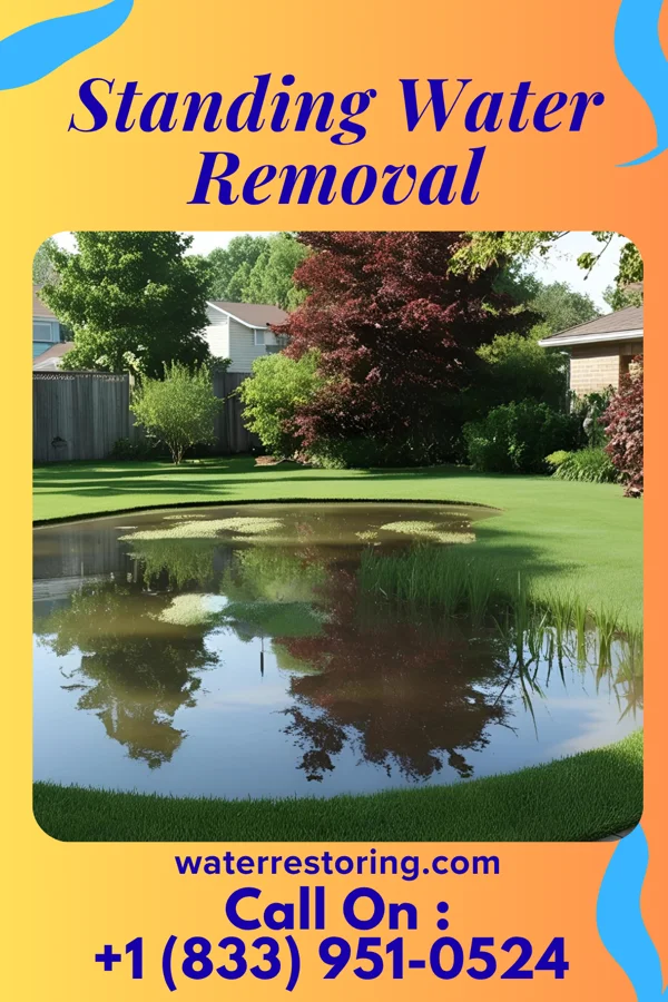 Standing Water Removal in Yetter, IA